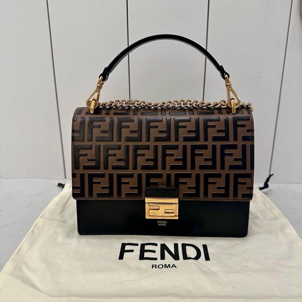 Fendi Brown and Black Kan U bag